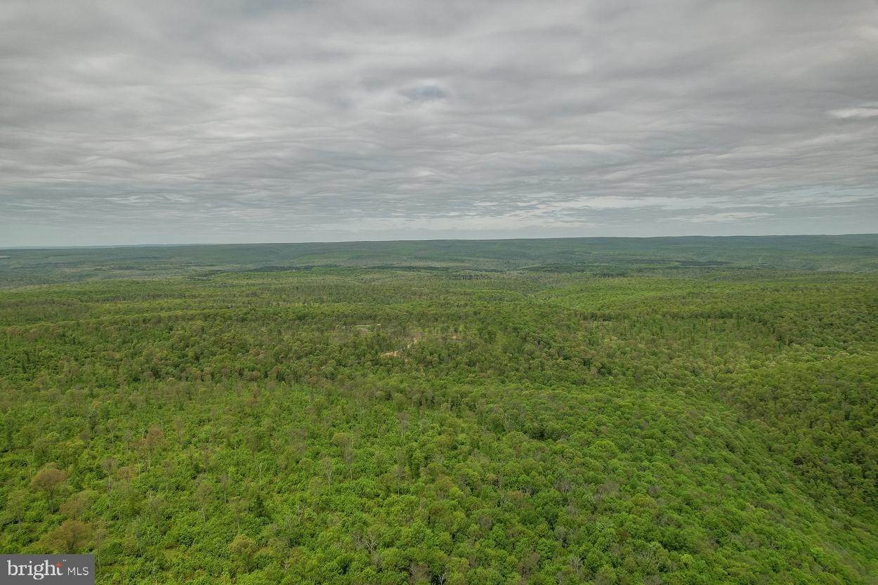 17. Land for Sale at CIRCLE Road Milesburg, Pennsylvania 16853 United States
