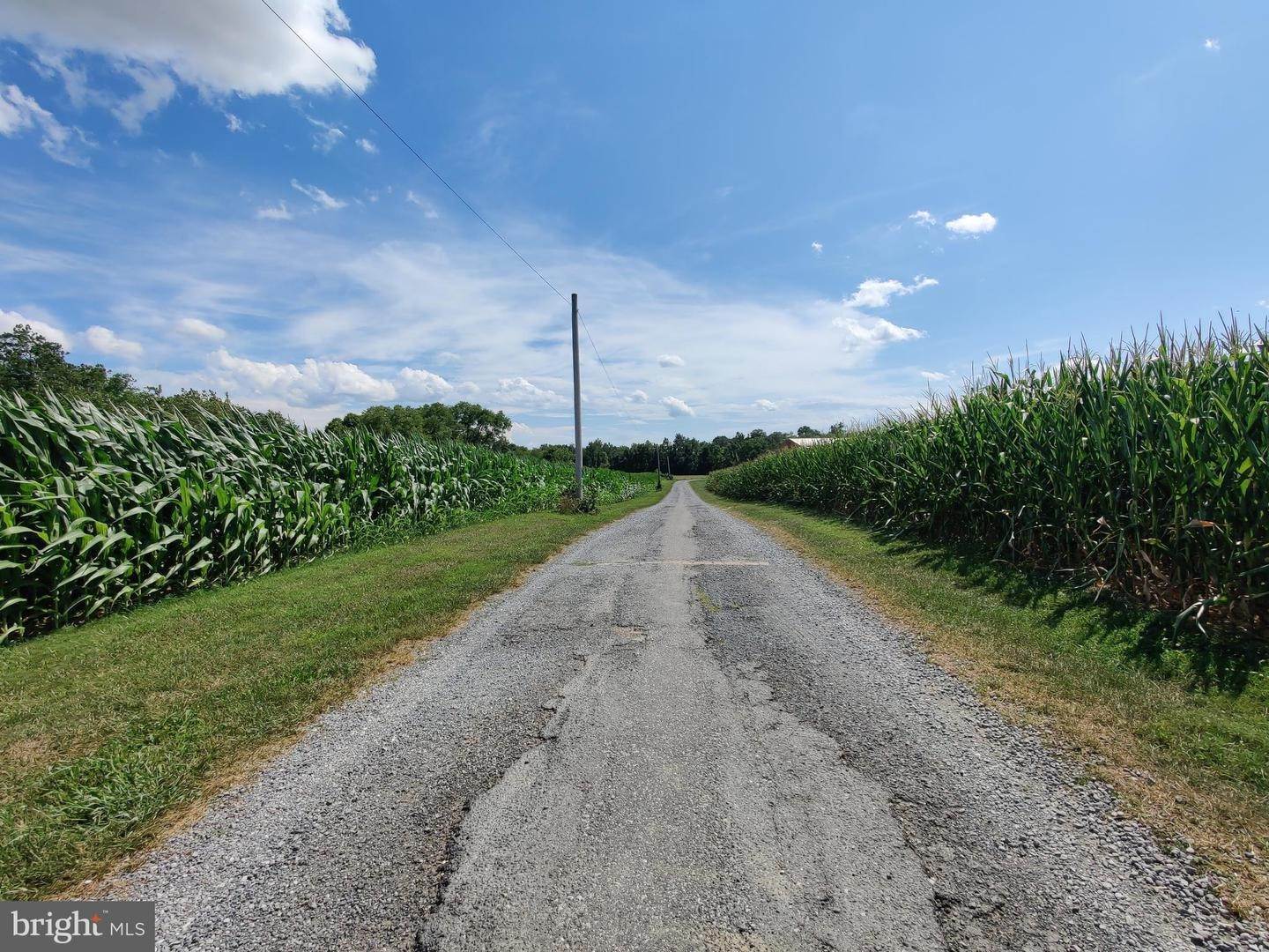 4. Land for Sale at 226 MILNOR ROAD Greencastle, Pennsylvania 17225 United States