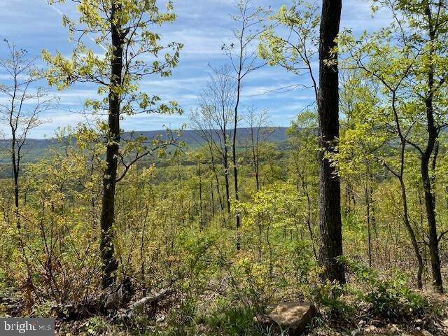 Land for Sale at LOT 6 POLECAT HOLLOW ROAD Hopewell, Pennsylvania 16650 United States